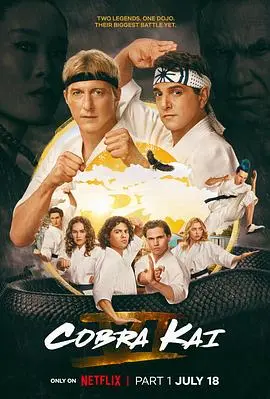 眼镜蛇第六季：空手道再燃战火， Cobra Kai 带来全新挑战