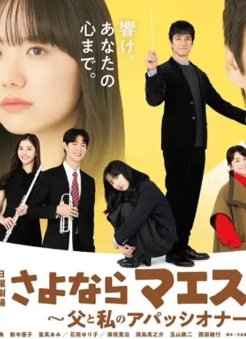 《再见了指挥大师》：父与子的音乐热情，泪洒琴键的人生告别！