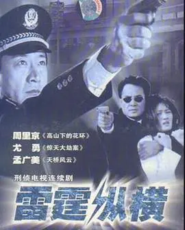 《雷霆纵横》：一场跨越国界的生死寻亲，速度与激情的终极较量！更有悬疑反转！